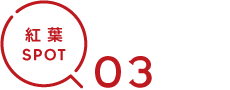 紅葉SPOT03