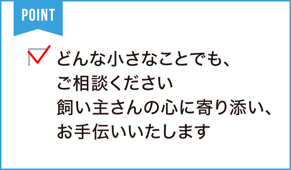 Zutto pet(ずっとペット)