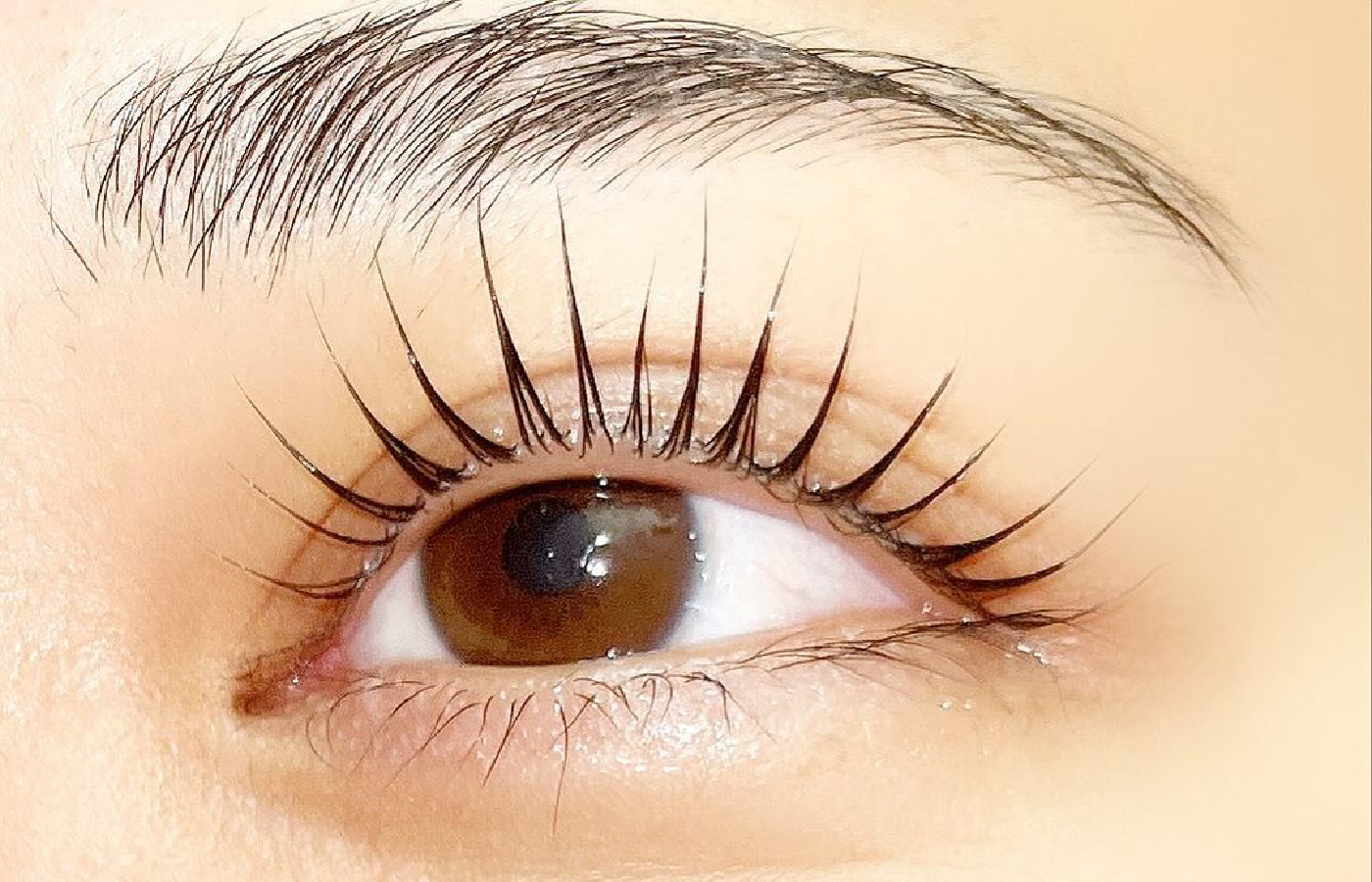 COVO.eyelash(コボアイラッシュ)