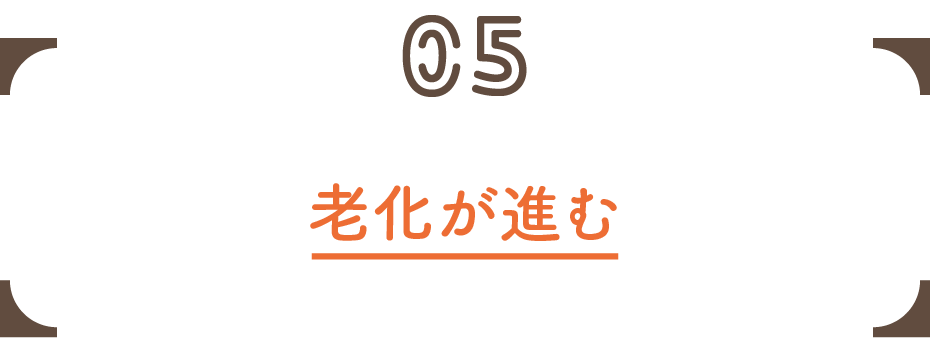 05 老化が進む